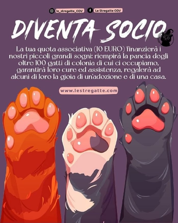 😻 GIORNATA NAZIONALE DEL GATTO: DIVENTA SOCIO PER AIUTARCI AD AIUTARLI 😻

Il 17 Febbraio si festeggia nel nostro paese la Giornata del gatto, per sensibilizzare l'opinione pubblica sull'importanza delle adozioni, che sono un meraviglioso atto di generosità ed una preziosissima promessa di vita condivisa, ma non sempre sono possibili, o quantomeno non nell'accezione più comune.
Parliamo, ad esempio, dei gatti di Colonia: se per alcuni di loro è possibile trovare la felicità seduti su un divano e con una famiglia che li ami, per altri la “libertà” a cui sono abituati da sempre non ha prezzo.
Ed ecco che entrano in gioco le adozioni a distanza ( https://lestregatte.com/adozione-a-distanza/ ) o la possibilità di sostenere annualmente le associazioni che gestiscono le Colonie, meravigliose oasi di libertà, che garantiscono anche ai loro selvatici abitanti tutto ciò a cui ogni gatto ha diritto:
- Qualcuno che gli gratti la schiena esattamente nel suo punto preferito,
- Una lettiera pulita e pronta per essere sporcata e sparsa tutto attorno non appena l'umano se ne va,
- Prelibate pappe con polvere di unicorno raccolta da una fata solo nelle notti di luna piena,
- Delle coccole che iniziano e finiscono solo e soltanto quando il micio lo decide, perché la punizione sarà una mano arpionata proprio quando sta per raggiungere la pancia pelosa sfoderata per trarre in inganno l'umano illuso,
- Un veterinario che, con la sfera di cristallo, cerchi di immaginare quale sia il problema grandissimo che affliggeva il gatto fino ad un secondo prima di entrare nello studio.

Vuoi garantire tutto questo agli oltre cento gatti di Colonia di cui ci occupiamo? Diventa nostro Socio, e con una quota annuale potrai sostenere ogni sogno e progetto della nostra Associazione. Contattaci per sapere come! 🐾 